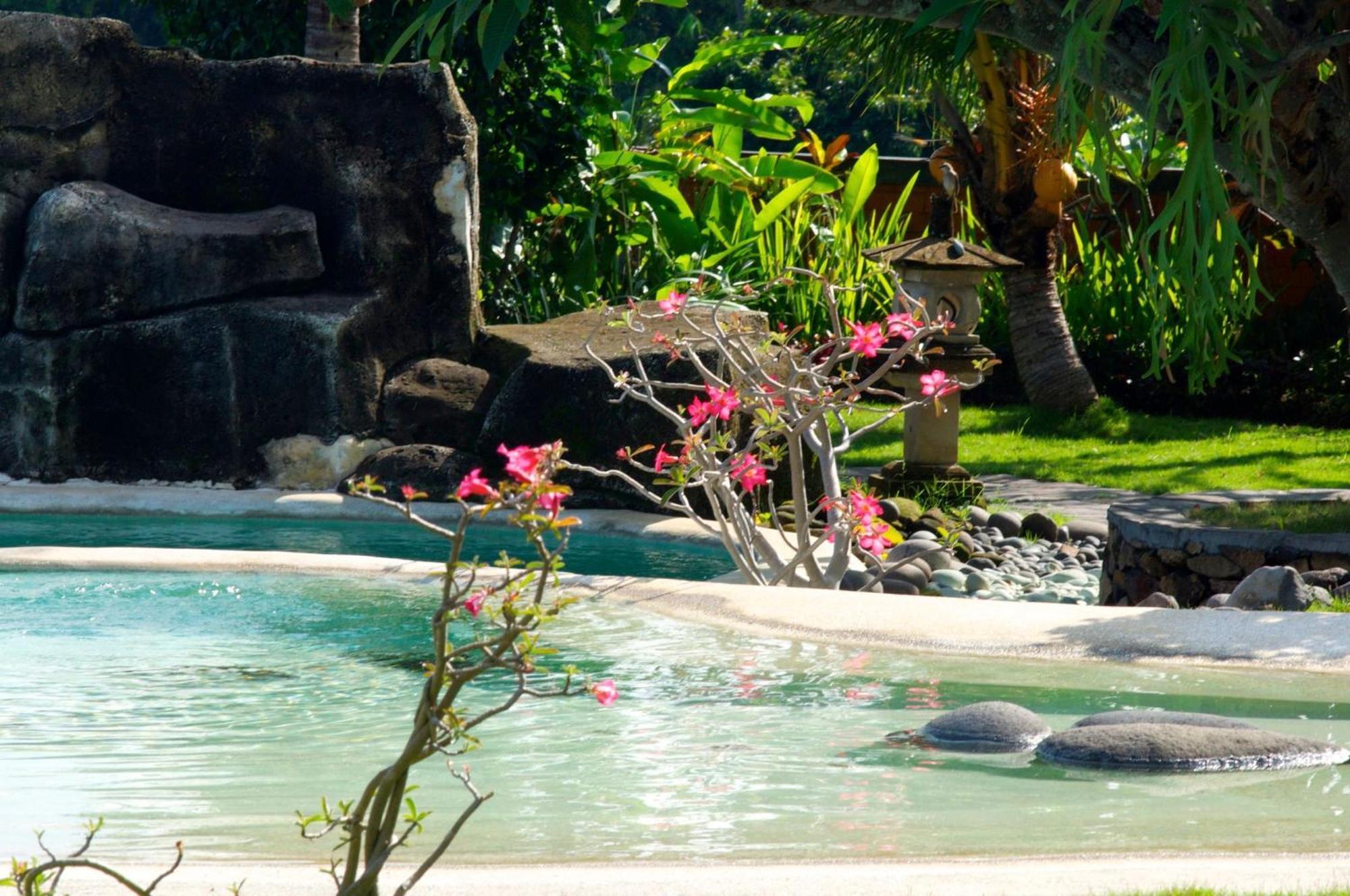Villa Bali Pondok Jepang โลวินา ภายนอก รูปภาพ
